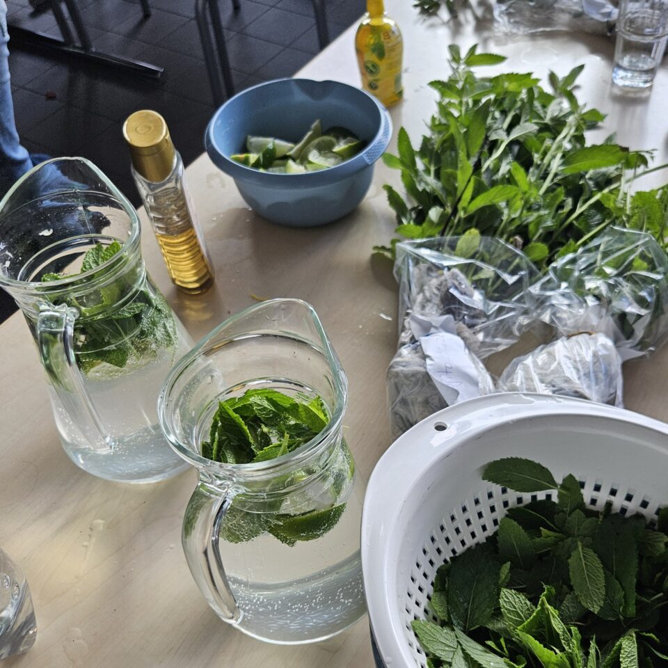 Auf einem Tisch stehen Glaskrüge mit alkoholfreien Getränken, Minze und Limetten. Daneben liegen frische Minzzweige und weitere Zutaten für den Mocktail-Verkauf der 8d.